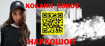 шишки Заволжье