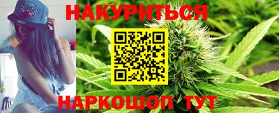 шишки Заволжье
