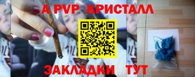 шишки Заволжье